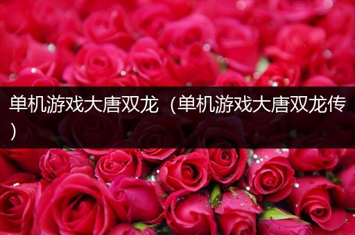单机游戏大唐双龙（单机游戏大唐双龙传）