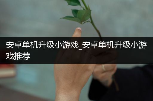 安卓单机升级小游戏_安卓单机升级小游戏推荐