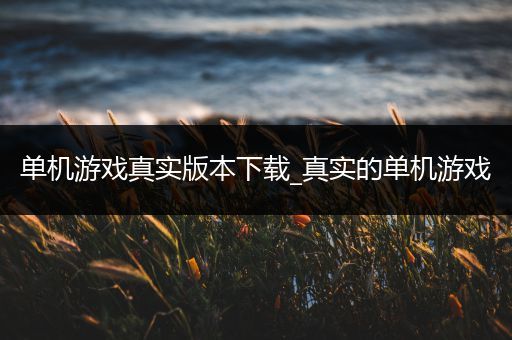 单机游戏真实版本下载_真实的单机游戏