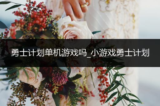 勇士计划单机游戏吗_小游戏勇士计划