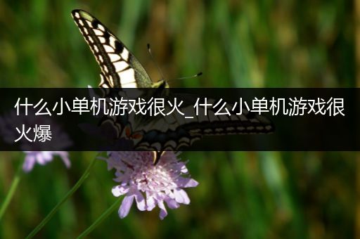 什么小单机游戏很火_什么小单机游戏很火爆