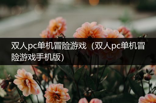双人pc单机冒险游戏（双人pc单机冒险游戏手机版）