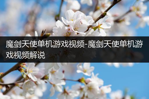 魔剑天使单机游戏视频-魔剑天使单机游戏视频解说