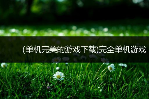 （单机完美的游戏下载)完全单机游戏