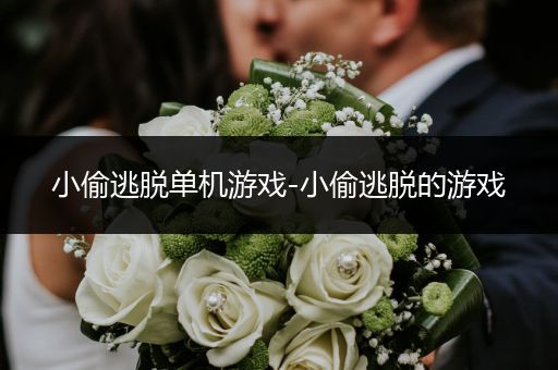 小偷逃脱单机游戏-小偷逃脱的游戏