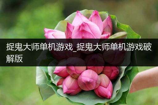 捉鬼大师单机游戏_捉鬼大师单机游戏破解版