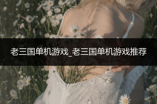 老三国单机游戏_老三国单机游戏推荐