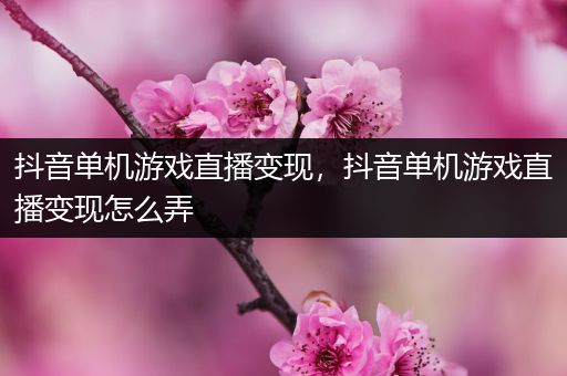 抖音单机游戏直播变现，抖音单机游戏直播变现怎么弄