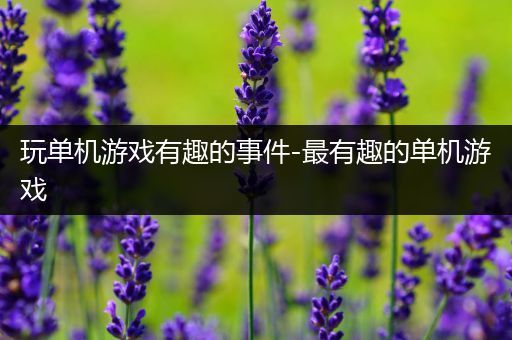 玩单机游戏有趣的事件-最有趣的单机游戏