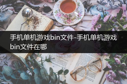 手机单机游戏bin文件-手机单机游戏bin文件在哪