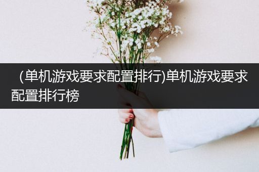 （单机游戏要求配置排行)单机游戏要求配置排行榜