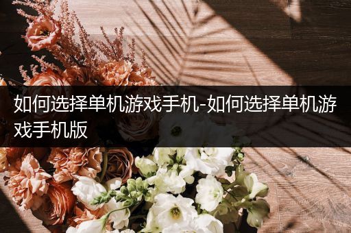 如何选择单机游戏手机-如何选择单机游戏手机版
