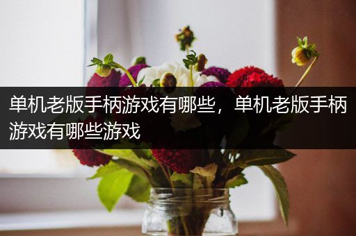 单机老版手柄游戏有哪些，单机老版手柄游戏有哪些游戏