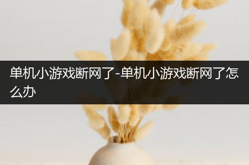 单机小游戏断网了-单机小游戏断网了怎么办