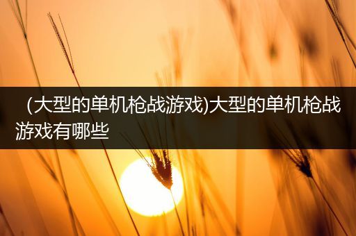 （大型的单机枪战游戏)大型的单机枪战游戏有哪些