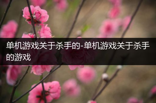 单机游戏关于杀手的-单机游戏关于杀手的游戏