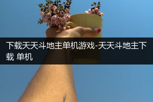 下载天天斗地主单机游戏-天天斗地主下载 单机