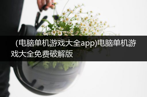 （电脑单机游戏大全app)电脑单机游戏大全免费破解版