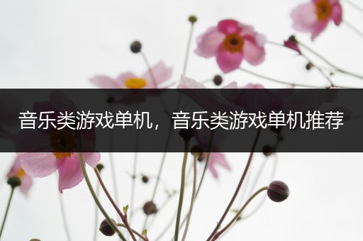 音乐类游戏单机，音乐类游戏单机推荐