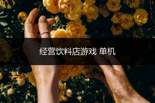 经营饮料店游戏 单机