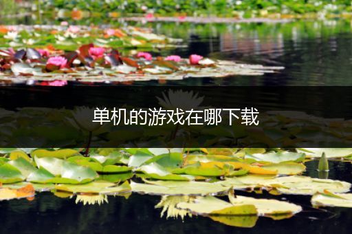 单机的游戏在哪下载