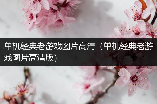 单机经典老游戏图片高清（单机经典老游戏图片高清版）