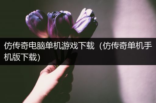 仿传奇电脑单机游戏下载（仿传奇单机手机版下载）