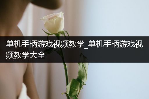 单机手柄游戏视频教学_单机手柄游戏视频教学大全