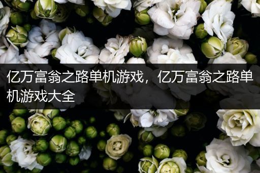 亿万富翁之路单机游戏，亿万富翁之路单机游戏大全