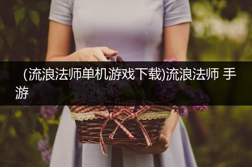 （流浪法师单机游戏下载)流浪法师 手游