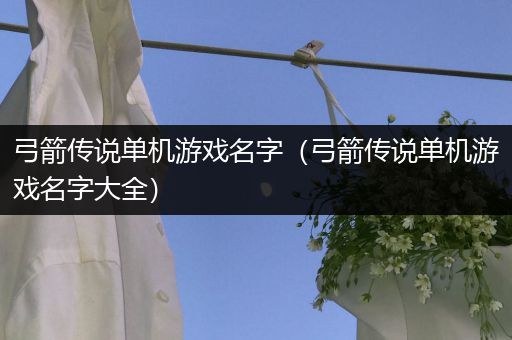 弓箭传说单机游戏名字（弓箭传说单机游戏名字大全）
