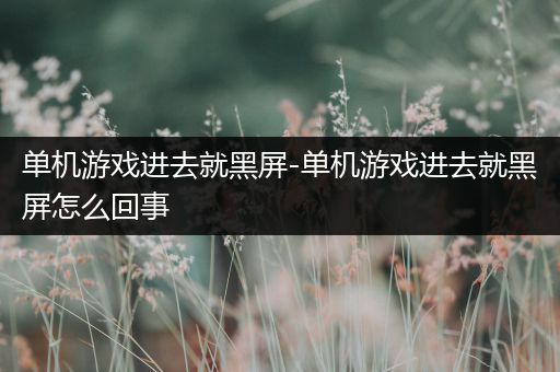 单机游戏进去就黑屏-单机游戏进去就黑屏怎么回事