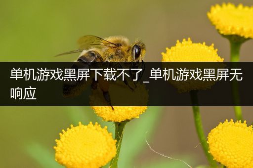 单机游戏黑屏下载不了_单机游戏黑屏无响应