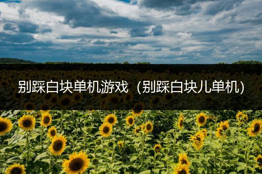 别踩白块单机游戏（别踩白块儿单机）
