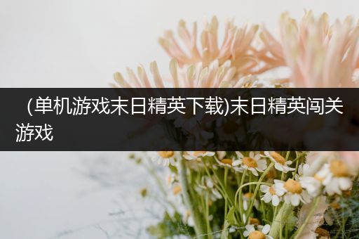 （单机游戏末日精英下载)末日精英闯关游戏