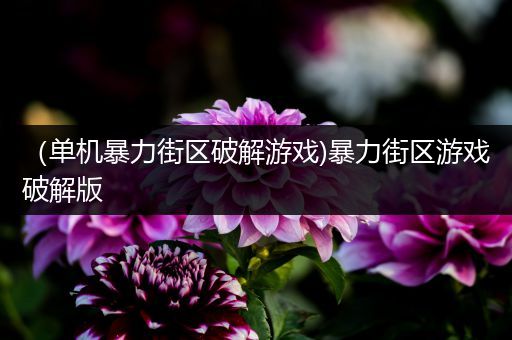 （单机暴力街区破解游戏)暴力街区游戏破解版