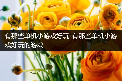 有那些单机小游戏好玩-有那些单机小游戏好玩的游戏