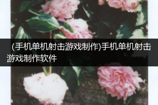 （手机单机射击游戏制作)手机单机射击游戏制作软件