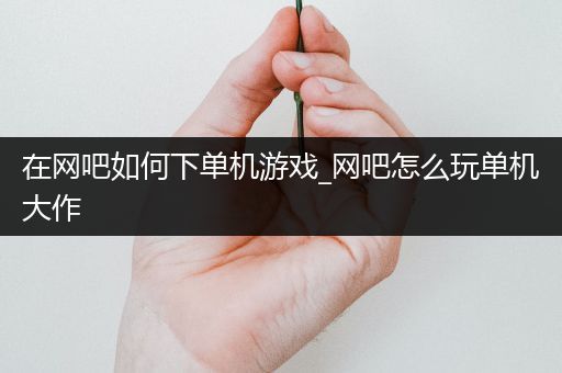 在网吧如何下单机游戏_网吧怎么玩单机大作