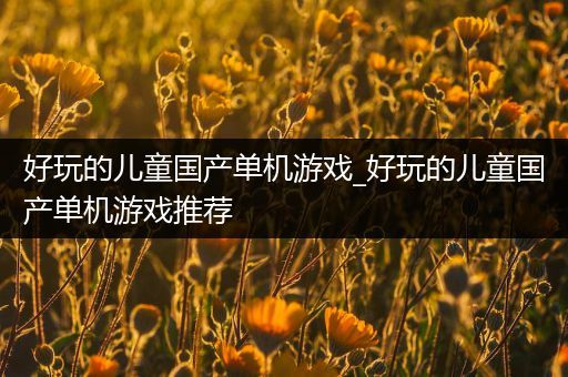 好玩的儿童国产单机游戏_好玩的儿童国产单机游戏推荐