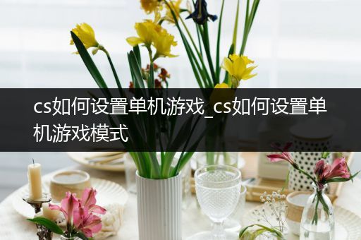 cs如何设置单机游戏_cs如何设置单机游戏模式