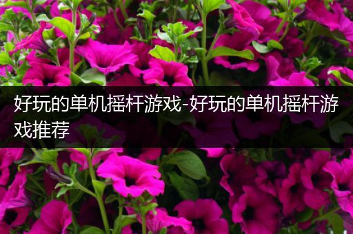 好玩的单机摇杆游戏-好玩的单机摇杆游戏推荐