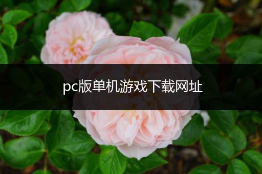 pc版单机游戏下载网址