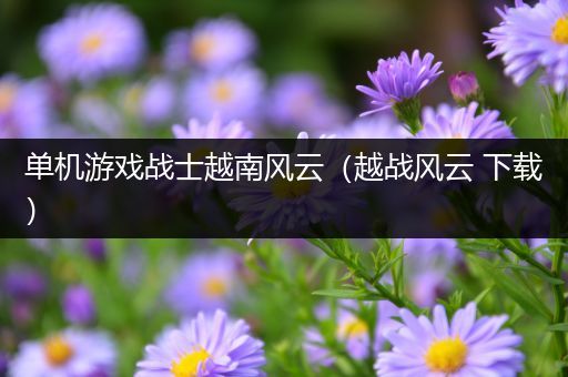 单机游戏战士越南风云（越战风云 下载）
