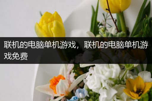 联机的电脑单机游戏，联机的电脑单机游戏免费