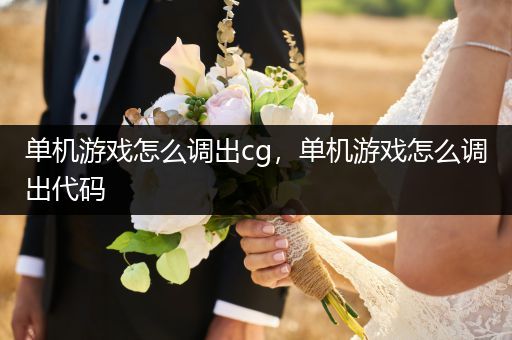 单机游戏怎么调出cg，单机游戏怎么调出代码