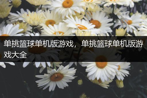 单挑篮球单机版游戏，单挑篮球单机版游戏大全