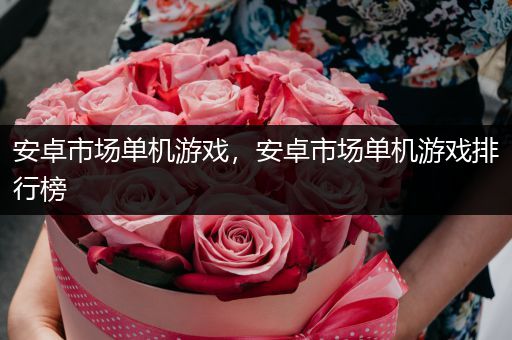 安卓市场单机游戏，安卓市场单机游戏排行榜