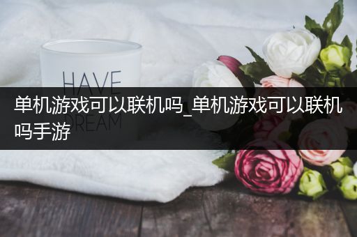 单机游戏可以联机吗_单机游戏可以联机吗手游