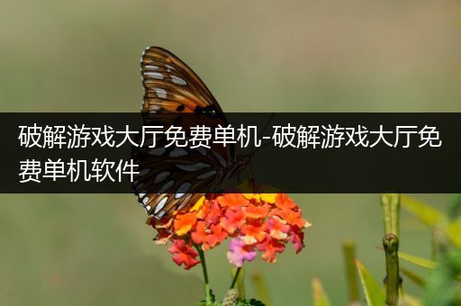 破解游戏大厅免费单机-破解游戏大厅免费单机软件